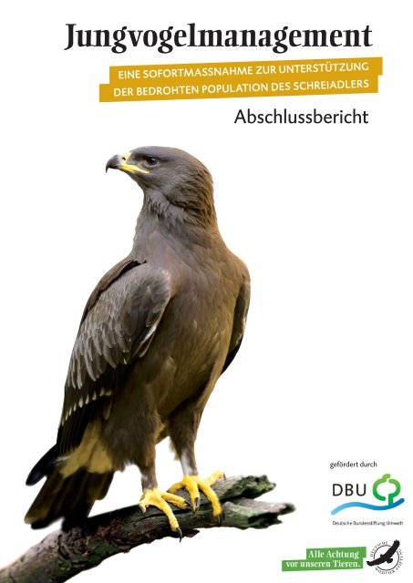 Der vollständige Abschlussbericht steht hier zum Download bereit.