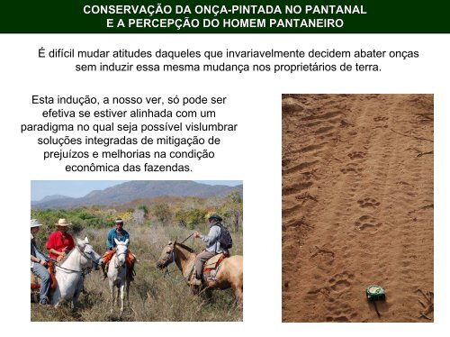 conservação da onça-pintada no pantanal ea percepção do ... - Ecoa