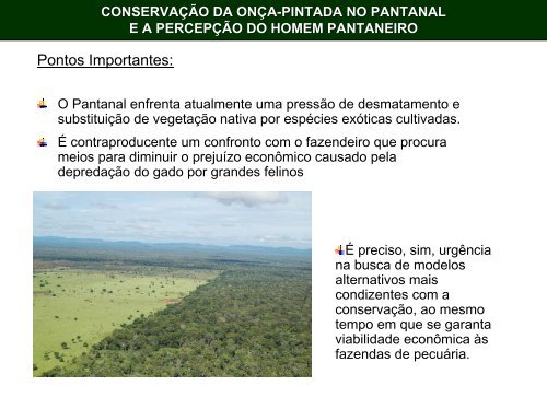 conservação da onça-pintada no pantanal ea percepção do ... - Ecoa