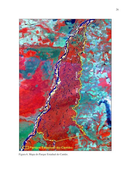 ecologia comparada e conservação da onça-pintada - Pró-Carnívoros