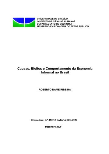 Causas, Efeitos e Comportamento da Economia Informal no Brasil