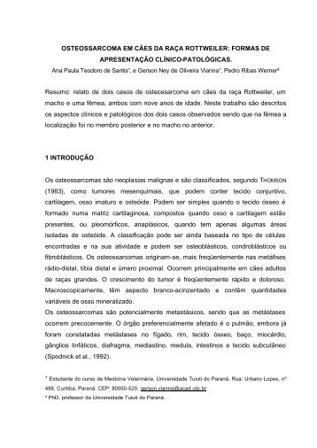 osteossarcoma em cães da raca rottweiler - Universidade Tuiuti do ...