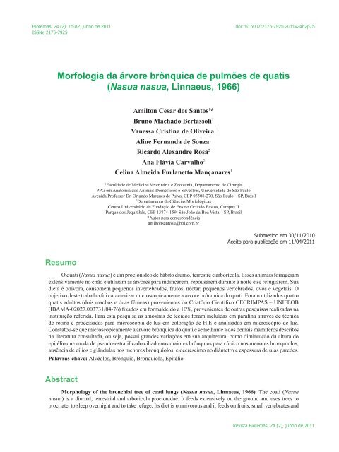 Morfologia da árvore brônquica de pulmões de quatis ... - Biotemas