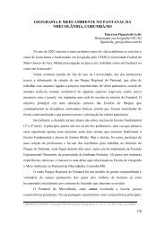 geografia e meio ambiente no pantanal da nhecolândia, corumbá/ms