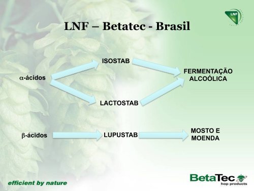 ''Aplicações de Derivados de Lúpulo Para Controle de ... - Gemea