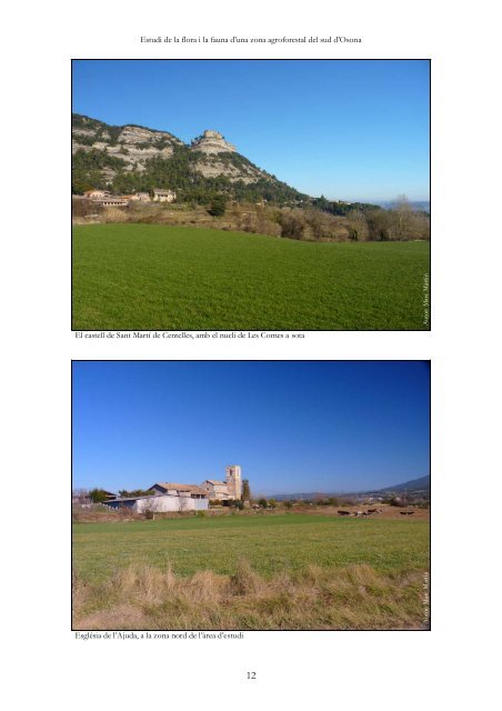 MEMÒRIA_Flora i Fauna Osona Sud_definitiva.pdf - Recercat