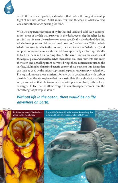 One Ocean, Many Worlds of Life - Convention on Biological Diversity