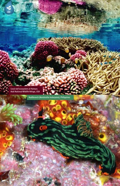 One Ocean, Many Worlds of Life - Convention on Biological Diversity