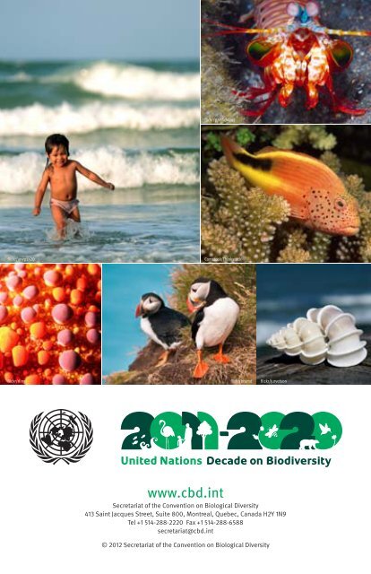 One Ocean, Many Worlds of Life - Convention on Biological Diversity