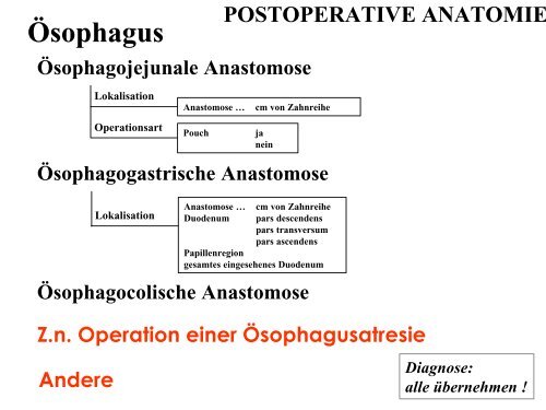 Terminologie Teil I Ösophagogastroduodenoskopie Update ... - DGVS