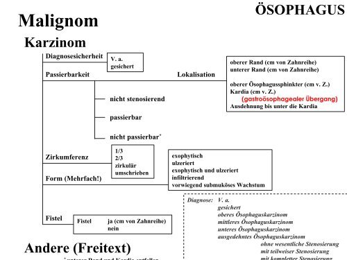 Terminologie Teil I Ösophagogastroduodenoskopie Update ... - DGVS