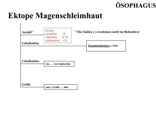 Terminologie Teil I Ösophagogastroduodenoskopie Update ... - DGVS