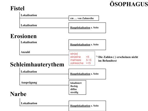 Terminologie Teil I Ösophagogastroduodenoskopie Update ... - DGVS