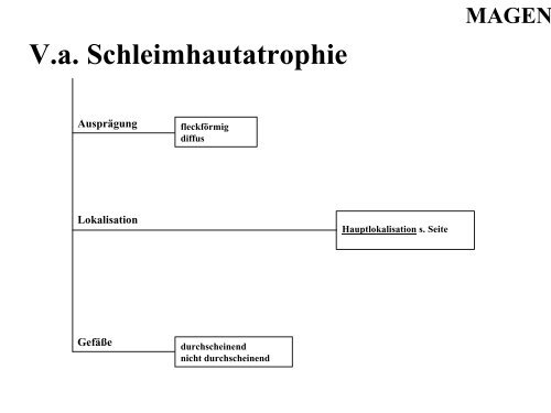 Terminologie Teil I Ösophagogastroduodenoskopie Update ... - DGVS