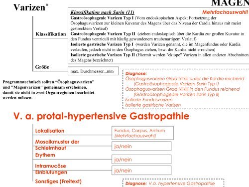 Terminologie Teil I Ösophagogastroduodenoskopie Update ... - DGVS