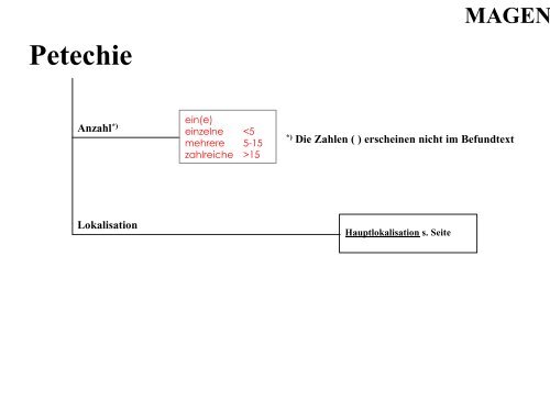 Terminologie Teil I Ösophagogastroduodenoskopie Update ... - DGVS