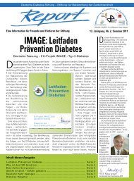 IMAGE: Leitfaden Prävention Diabetes - Deutsche Diabetes-Stiftung