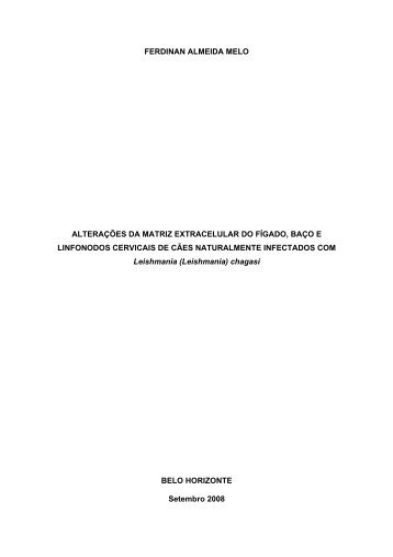 continuidade - Biblioteca Digital de Teses e Dissertações da UFMG