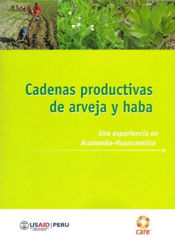 manual sistematizacion - CARE Perú