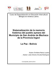 Sistematización de la memoria histórica del ... - Fondo Indígena