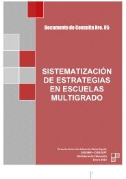 sistematización de estrategias en escuelas multigrado - digeibir