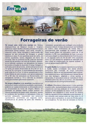 Forrageiras de verão - Infoteca-e - Embrapa