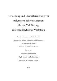 Genehmigte Dissertation Ina Schaumann - DIK