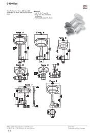 6-100 Key - Dirak