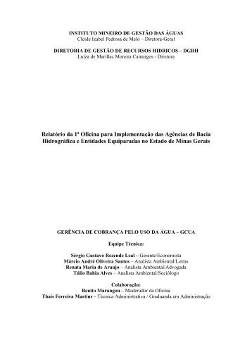 Relatório da 1ª Oficina - Instituto Mineiro de Gestão das Águas - IGAM