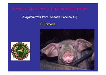 Alojamientos Para Ganado Porcino