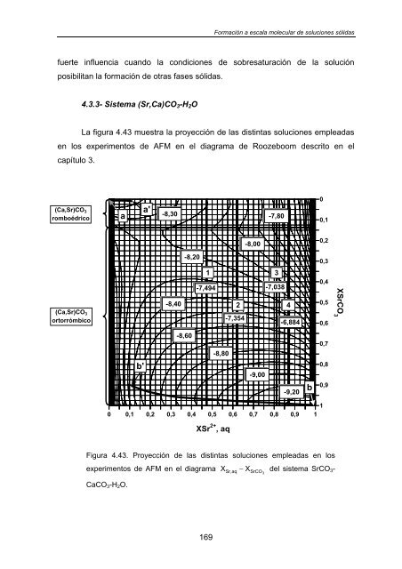 UNIVERSIDAD COMPLUTENSE DE MADRID