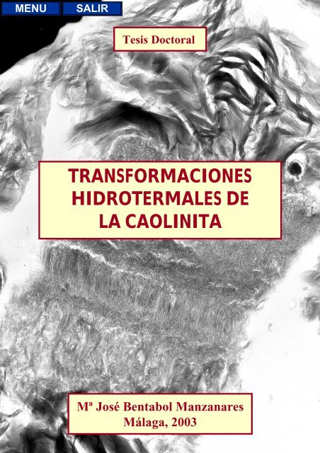 transformaciones hidrotermales de la caolinita - Biblioteca de la ...