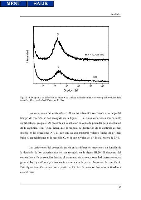 transformaciones hidrotermales de la caolinita - Biblioteca de la ...