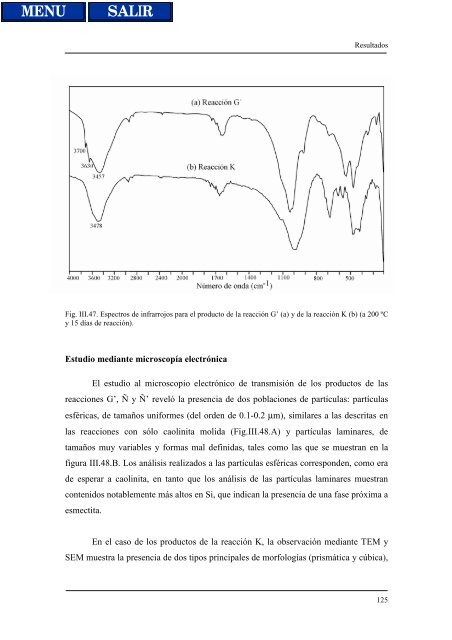 transformaciones hidrotermales de la caolinita - Biblioteca de la ...