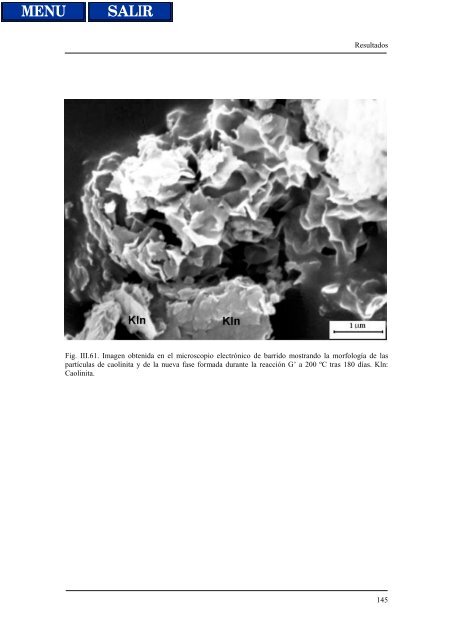 transformaciones hidrotermales de la caolinita - Biblioteca de la ...