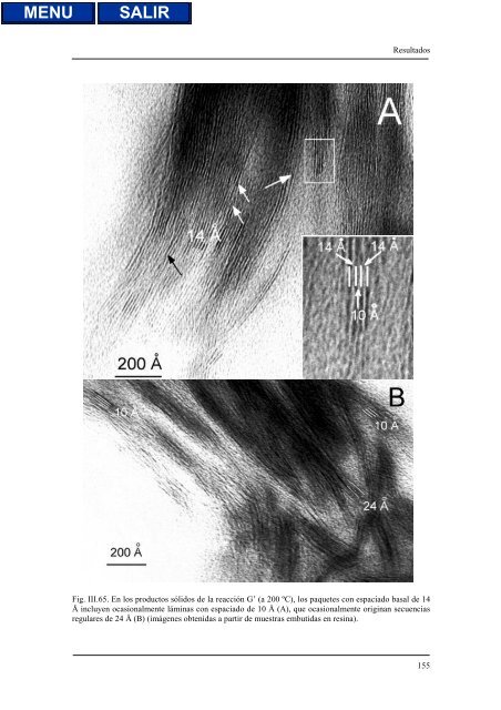 transformaciones hidrotermales de la caolinita - Biblioteca de la ...