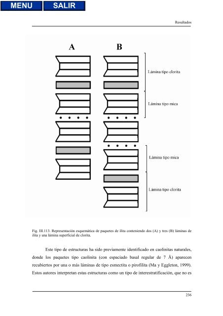 transformaciones hidrotermales de la caolinita - Biblioteca de la ...