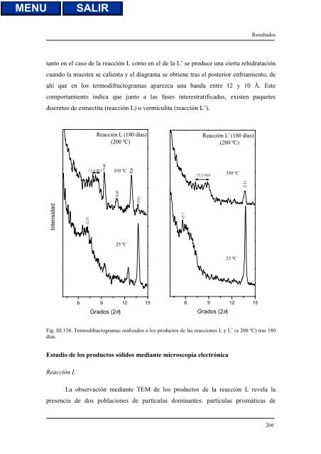 transformaciones hidrotermales de la caolinita - Biblioteca de la ...