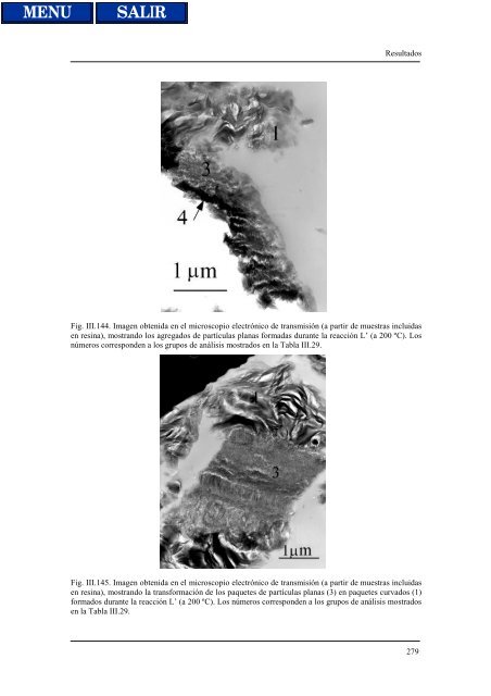 transformaciones hidrotermales de la caolinita - Biblioteca de la ...