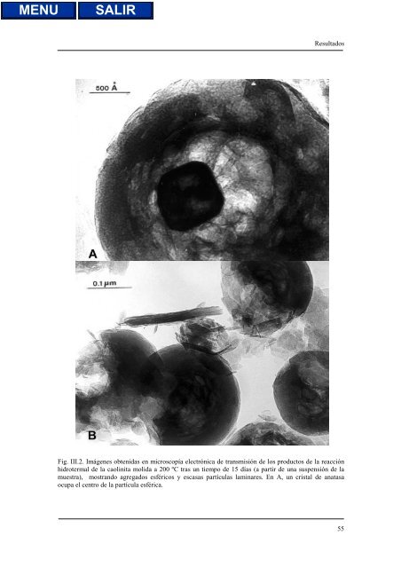 transformaciones hidrotermales de la caolinita - Biblioteca de la ...