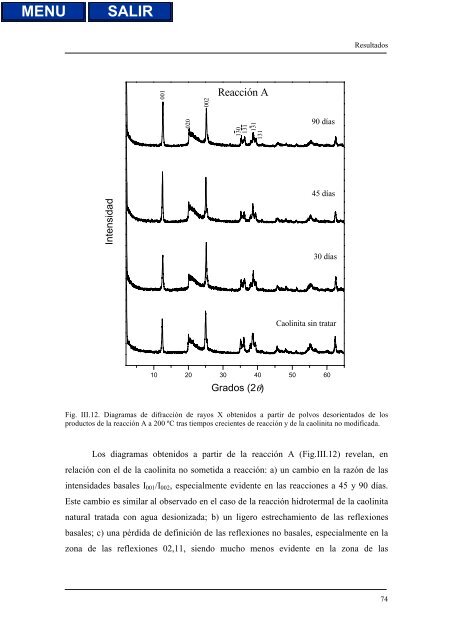 transformaciones hidrotermales de la caolinita - Biblioteca de la ...