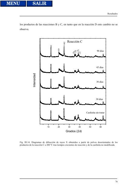 transformaciones hidrotermales de la caolinita - Biblioteca de la ...