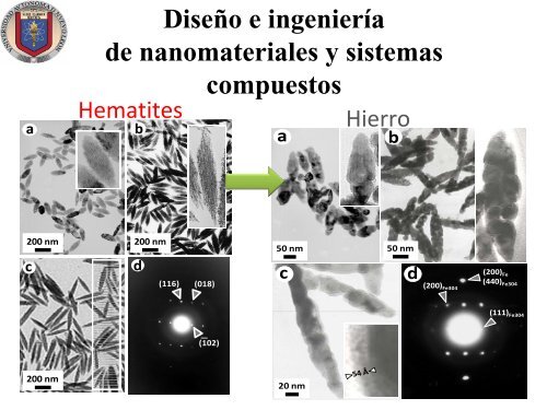 OXANA KHARISSOVA (UANL) - Red de Nanociencias y ...