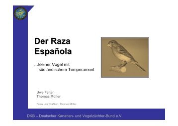 Der Raza Espanola - Deutscher Kanarien