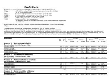 Schauklassen Großsittiche