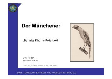 Der Münchener - Deutscher Kanarien