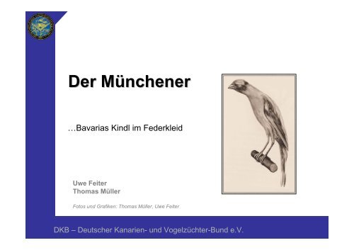 Der Münchener - Deutscher Kanarien