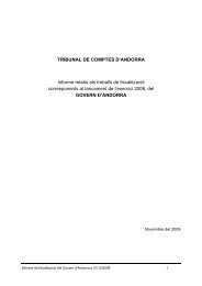 Informe 3/2009 - Tribunal de Comptes