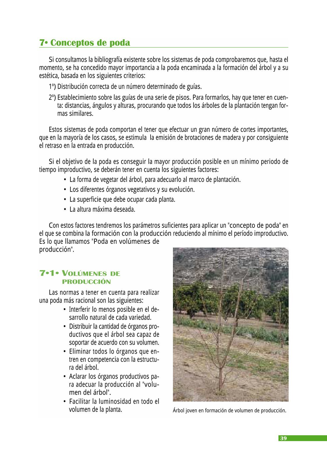 que es el factor de forma de un arbol