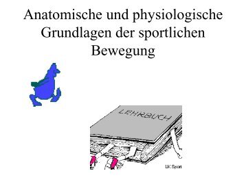 Anatomische und physiologische Grundlagen der sportlichen ...